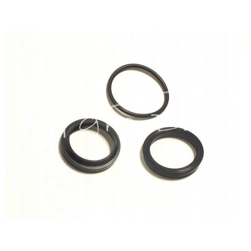 Seal kit cn1sc 32 150 neptun actuator