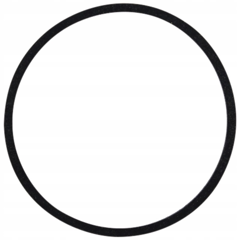 Sealing ring large 5679972