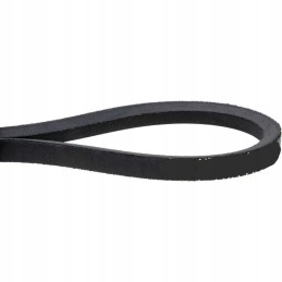 spa 3000 spa3000 V-belt