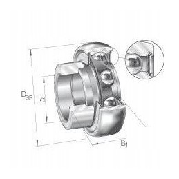 Bearing rae 30 nppb ina