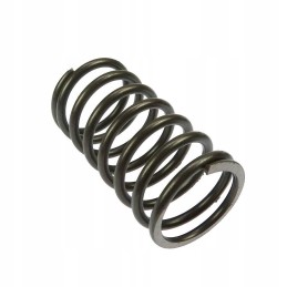 Valve spring external c 360 50505080 ursus