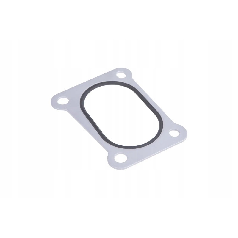 F119200090070 intake manifold gasket