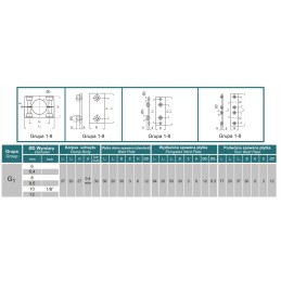 Fixing holder for rapr DN12 service pipes