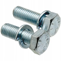 Set of screws with spring rings 78770173