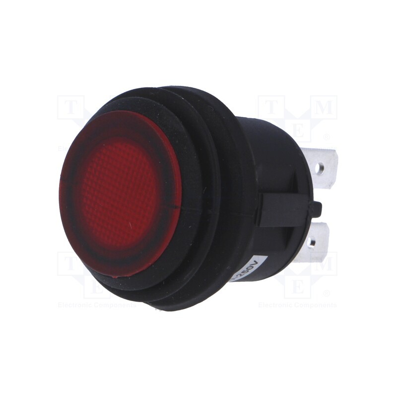1 pcs x SCI - R13-527B2L-02-BR-N-2 - Switch: push-button, Pos: 2, DPST-NO, 6A/250VAC, OFF-ON, IP65, red