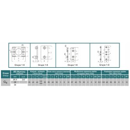 Fixing holder for rapr DN28 service pipes