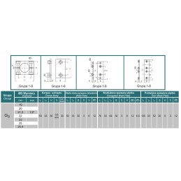 Fixing holder for rapr DN22 service pipes