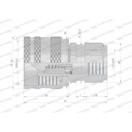 Screwed hydraulic quick connector, g1 plug 2