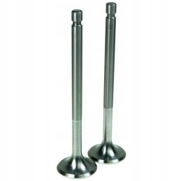 Exhaust valve c 330 ush94 thm 020164 00500084