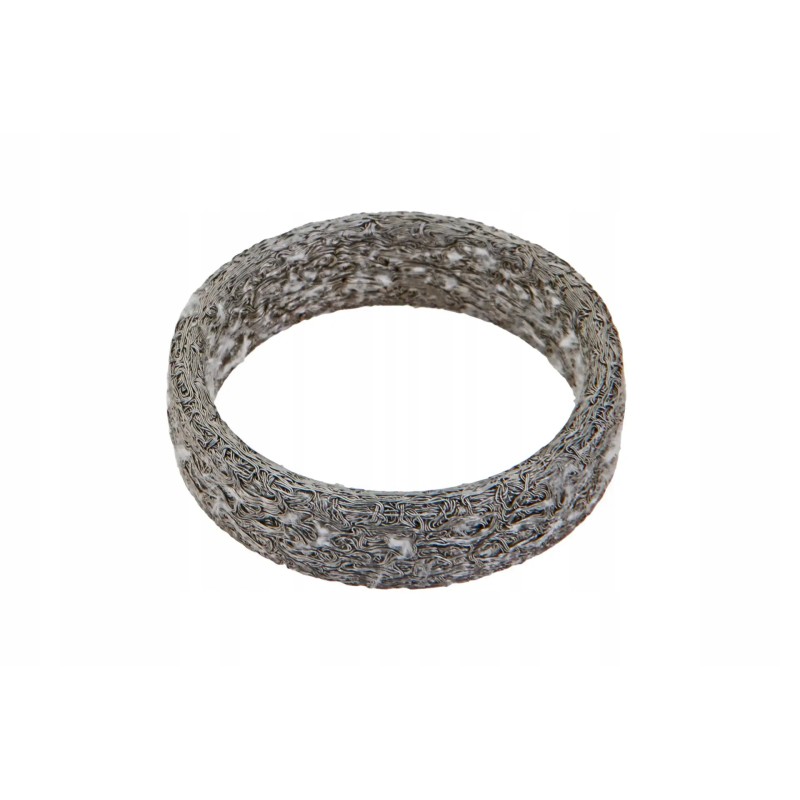 F842201110170 exhaust manifold gasket