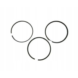 Set of engine piston rings 52110096 8900
