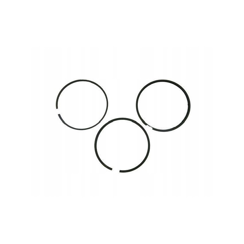 Set of engine piston rings 52110096 8900
