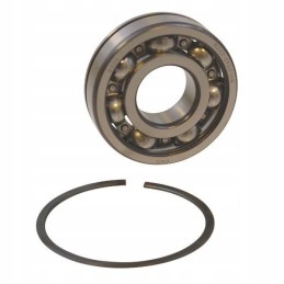 6305n ball bearing