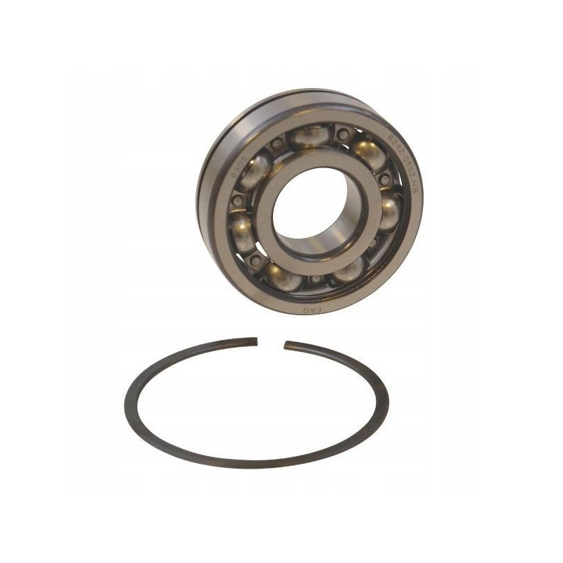 6305n ball bearing