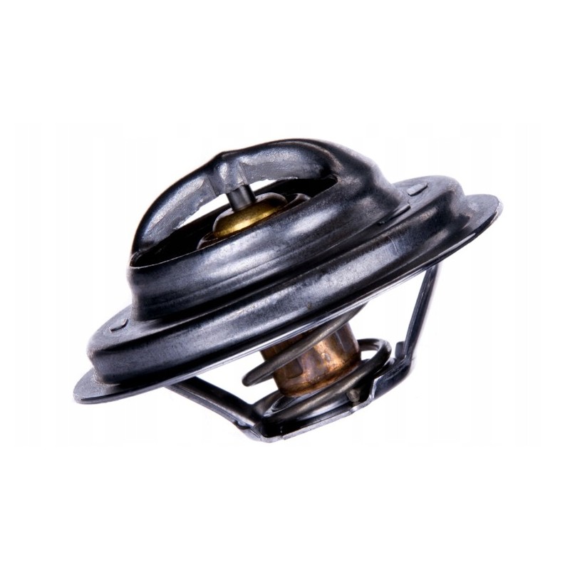 Thermostat Case Landini Massey Ferguson 3118127R1