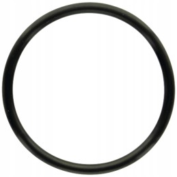 Oring fight 85215078 366434x1 granite