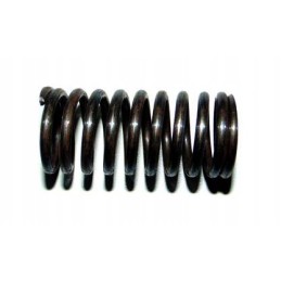 Valve spring internal t25