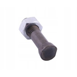 Screw set, oval, cut on one side, M16x