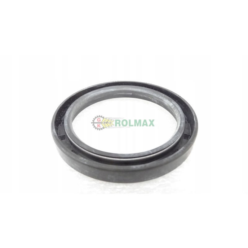 Massey Ferguson gasket 391316x1