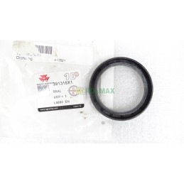 Massey Ferguson gasket 391316x1