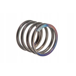 85006019 oil filter spring