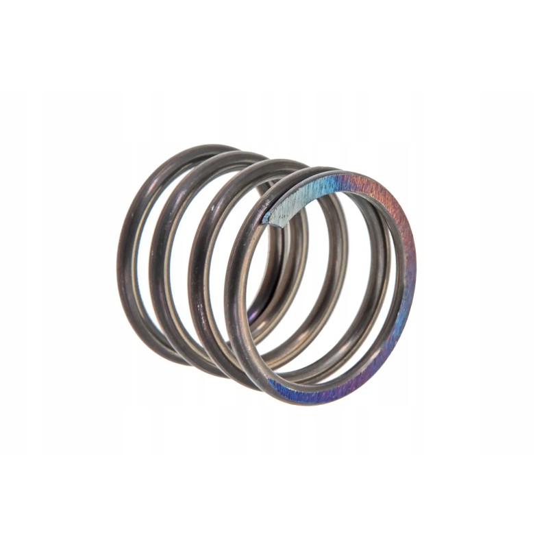 85006019 oil filter spring