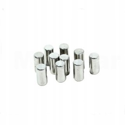 Bearing rollers diameter 5 mm