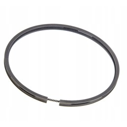 Ring oj 110 110x6x465 prima 89003904 11060