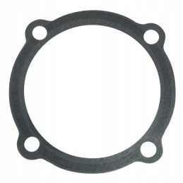 Morpak rear axle seal c 385 and derivatives