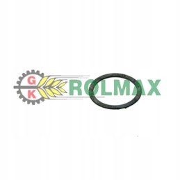 Pierscien 28 2x34 5x1 new holland case 5141500