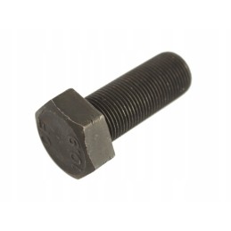 Shaft pulley screw c 385 89003011 6568900301