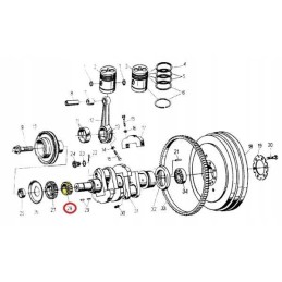 Timing gear on the crankshaft C 330 Ursus