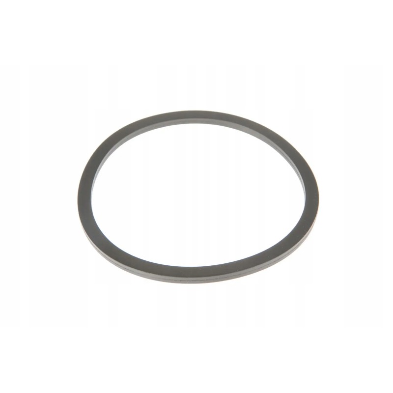 F916200060062 fuel filter housing gasket
