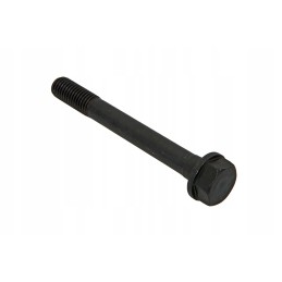 490b 01003a head screw m12 x 100