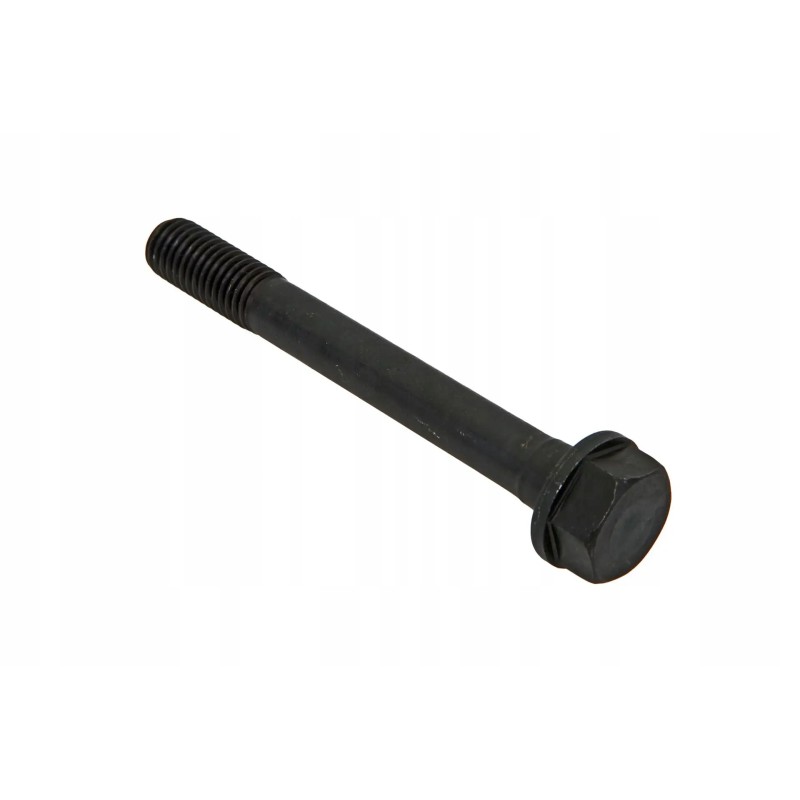 490b 01003a head screw m12 x 100