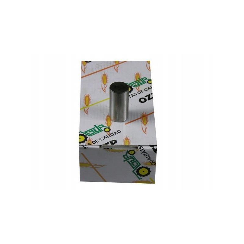 Satellite pin of the mf3 reducer