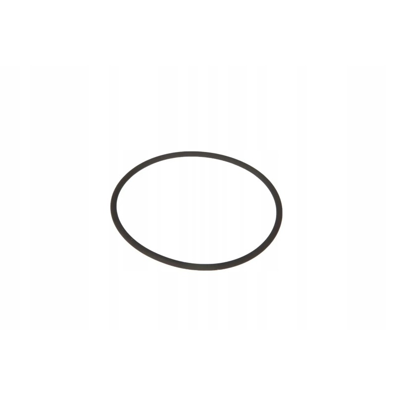 X548926666000 o-ring 50 x 2
