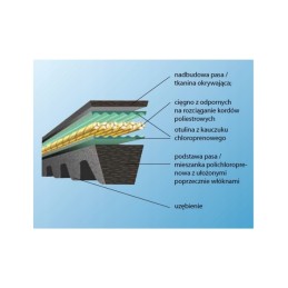 Timed V-belt optibelt with 10 xpz 1250