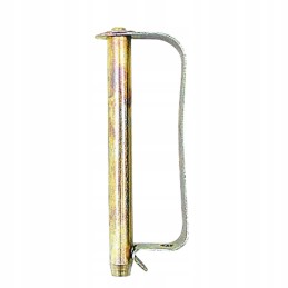 Pin with spring protection 10x65 mm
