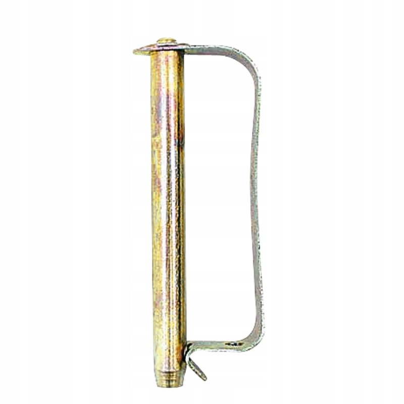 Pin with spring protection 10x65 mm