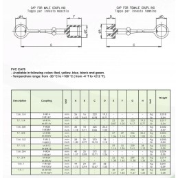 PAV ISO A G1 quick connector socket cap 4