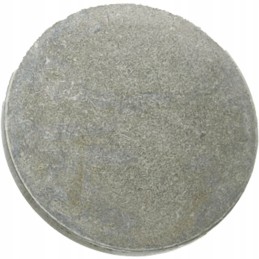 Pressure plate pinion shaft dana spicer