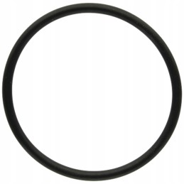 O-ring for the external swing arm 72706604 granite