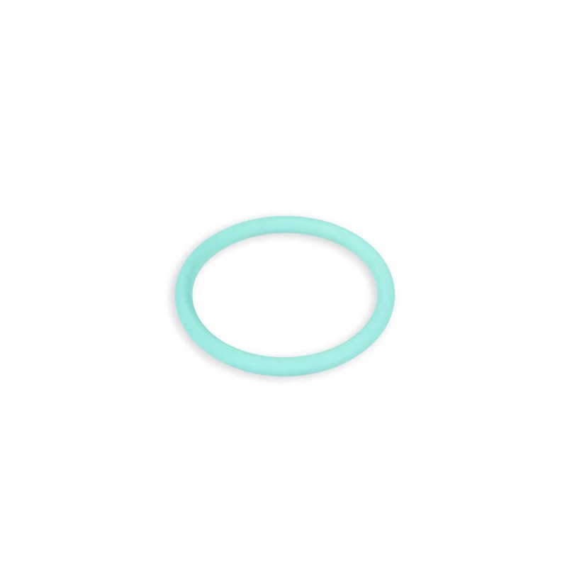 X548871400000 o-ring 24 x 2 5