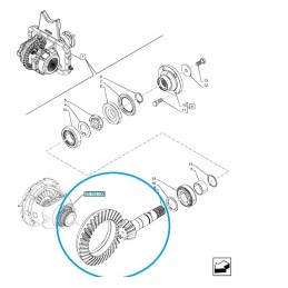Gear wheel with shaft New Holland T6 5801691570 CN