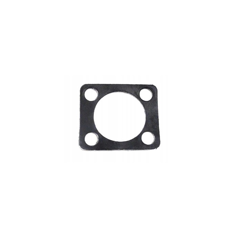 Zetor servo seal 55013914