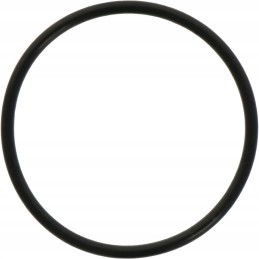 Differential piston O-ring 3019927x1