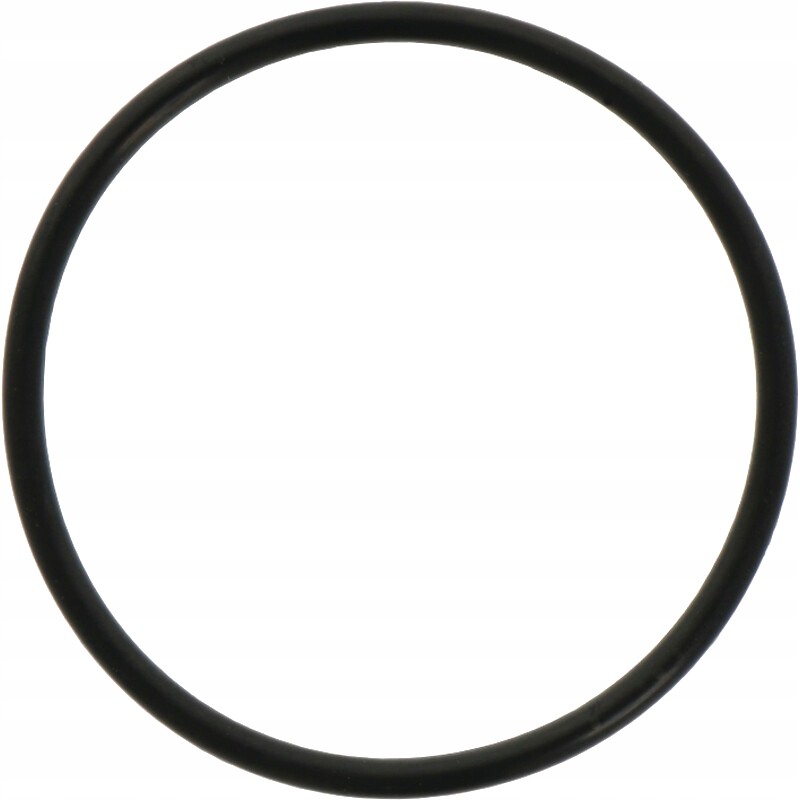 Differential piston O-ring 3019927x1