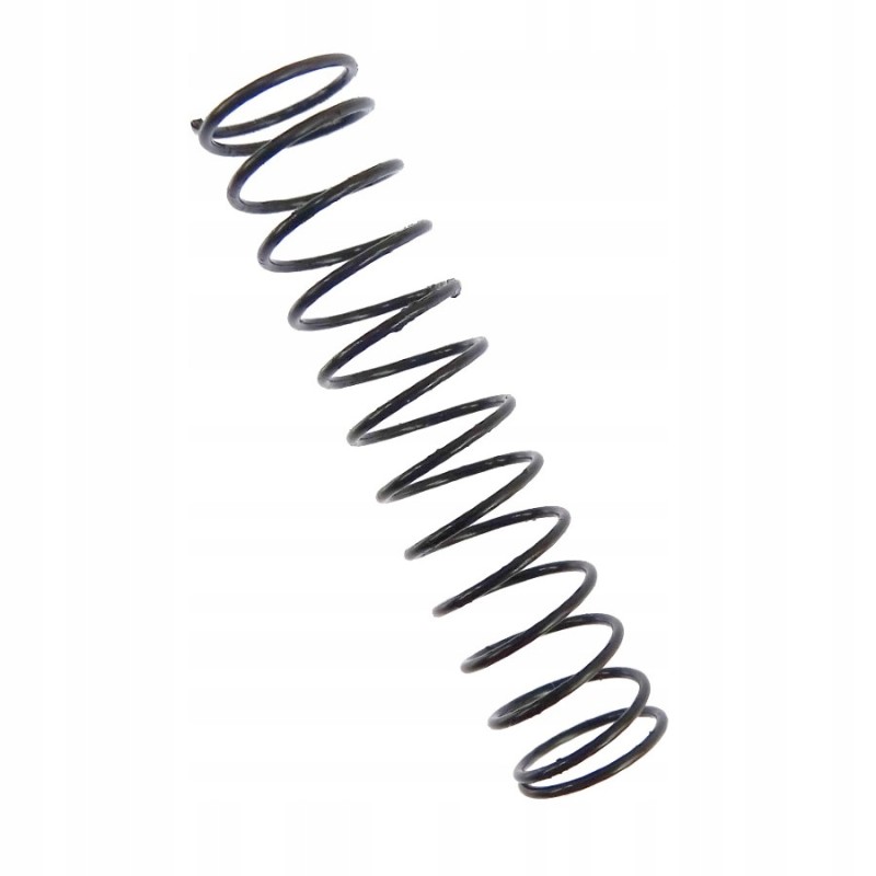 C 385 valve spring C 385 Archimedes