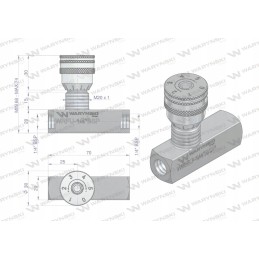 Restriction and non-return valve wrfu 90 1 4 bsp waryns